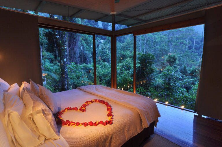 Luxury Honeymoon Suites American Forest: The 2026 Definitive